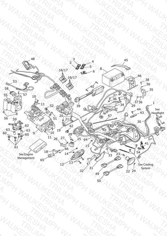Electrical System