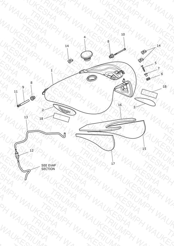Fuel Tank & Fittings