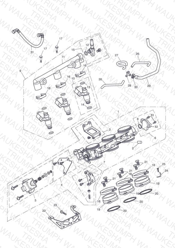 Throttles, Injectors and Fuel Rail