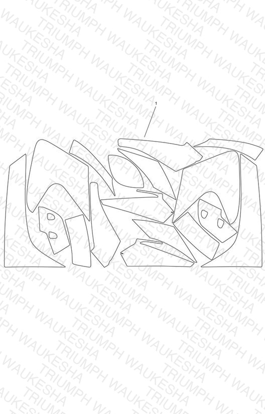 Paint Protection Kit