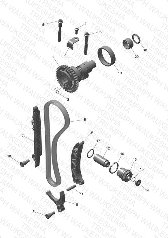 Camshaft & Camshaft Drive