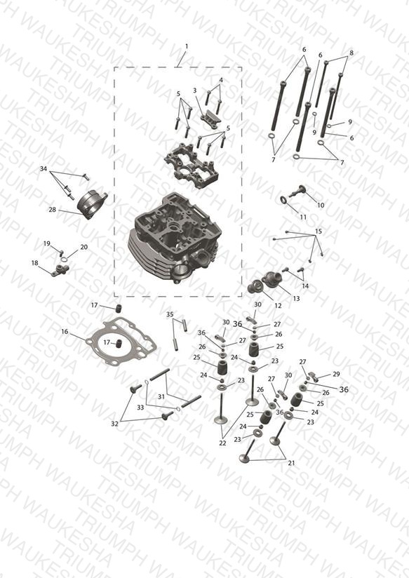 Cylinder Head & Valve Drive