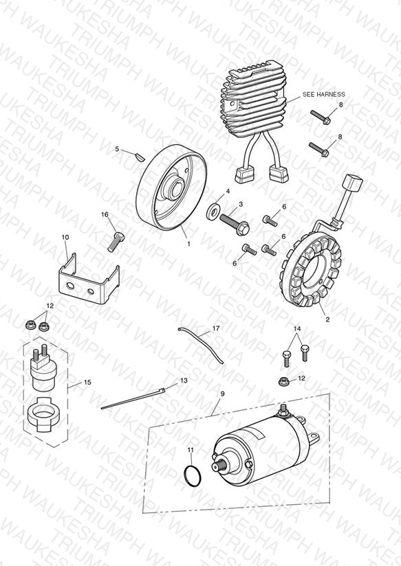 Starter & Alternator