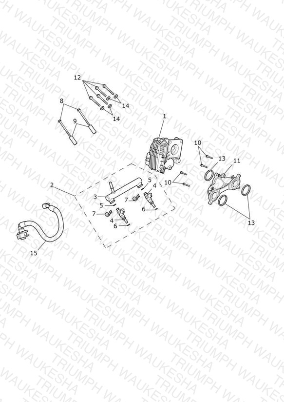 Throttle Bodies