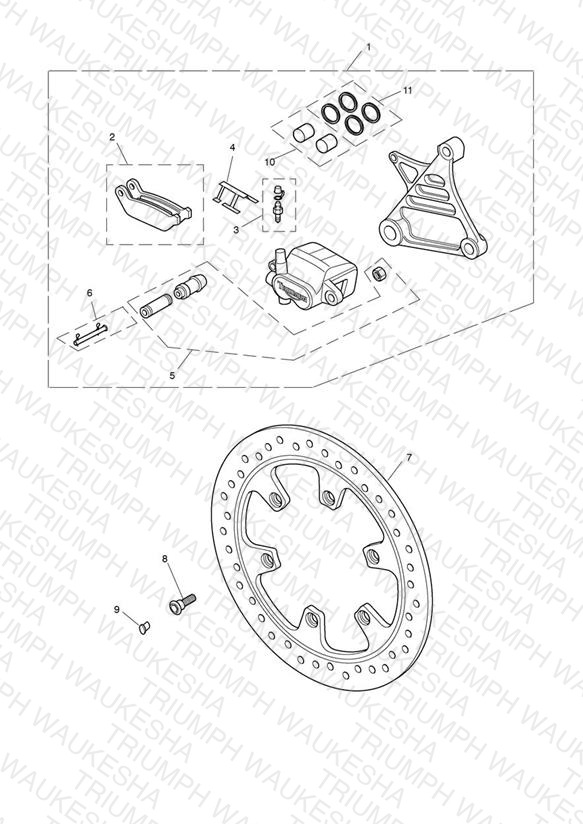 Rear Brake  Caliper & Disc
