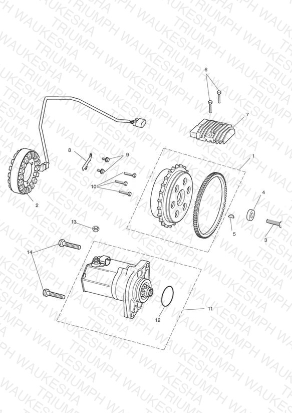 Starter & Alternator