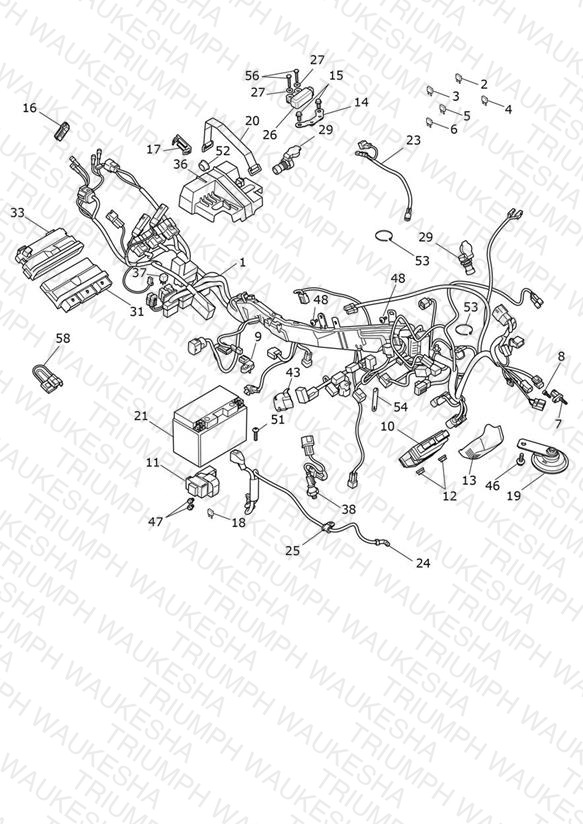 Electrical System
