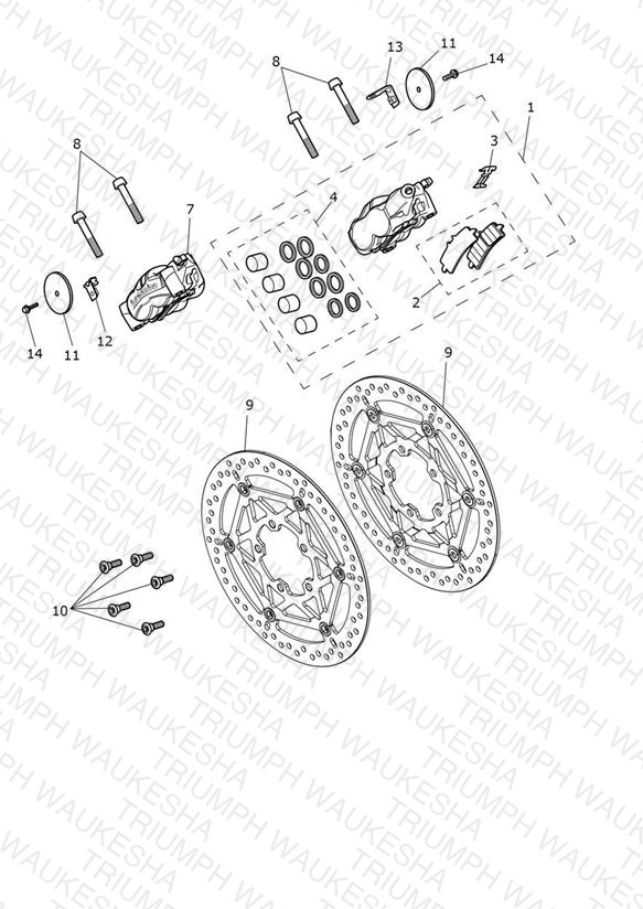 Front Brake Caliper & Discs