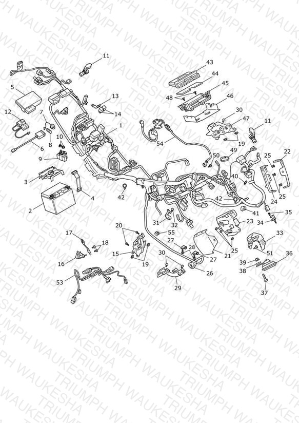 Electrical Section