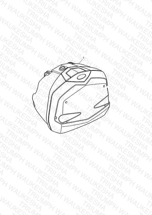 Pannier Assy RH, US, CA, SG