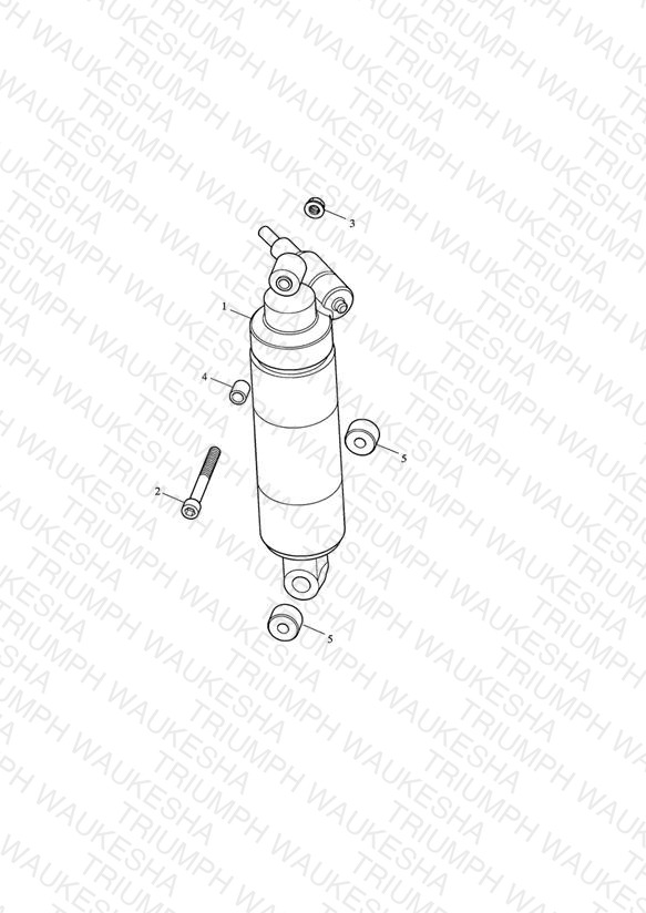 Rear Suspension Unit