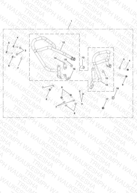 Fuel Tank Pro Bars Kit, SS