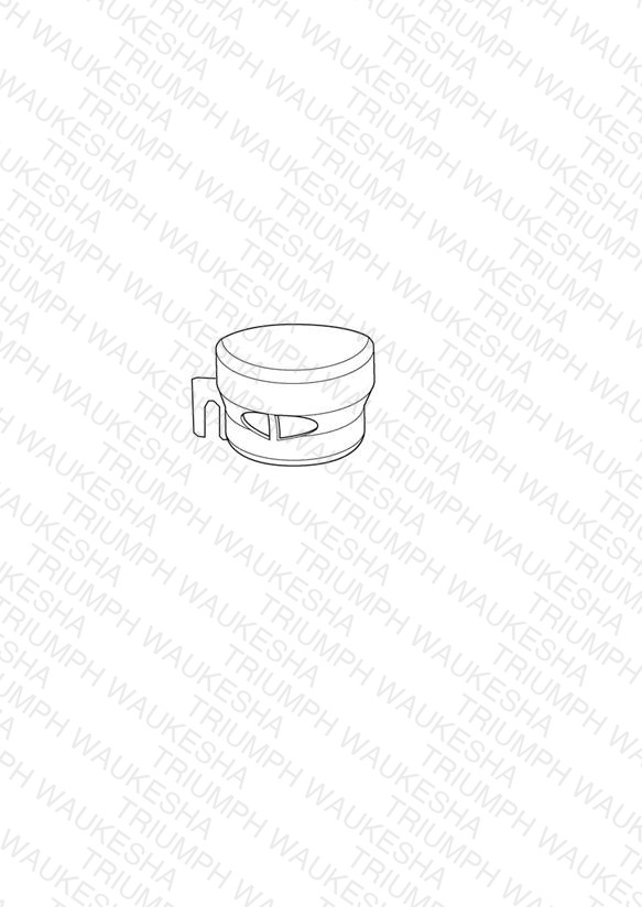 Brake Reservoir Cover, Rear, Chrome