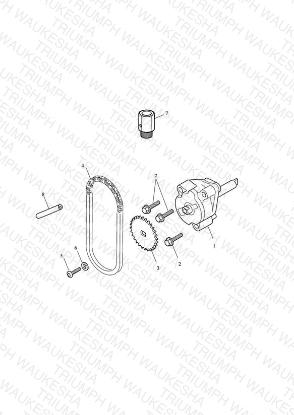 Oil Pump & Drive