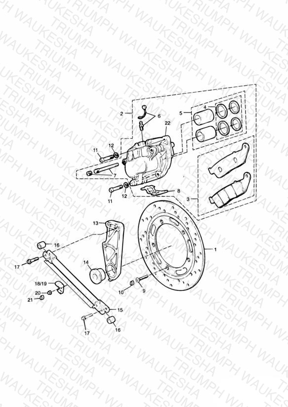 Rear Brake Disc and Caliper