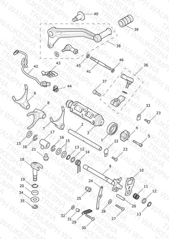 Gear Selectors & Pedal