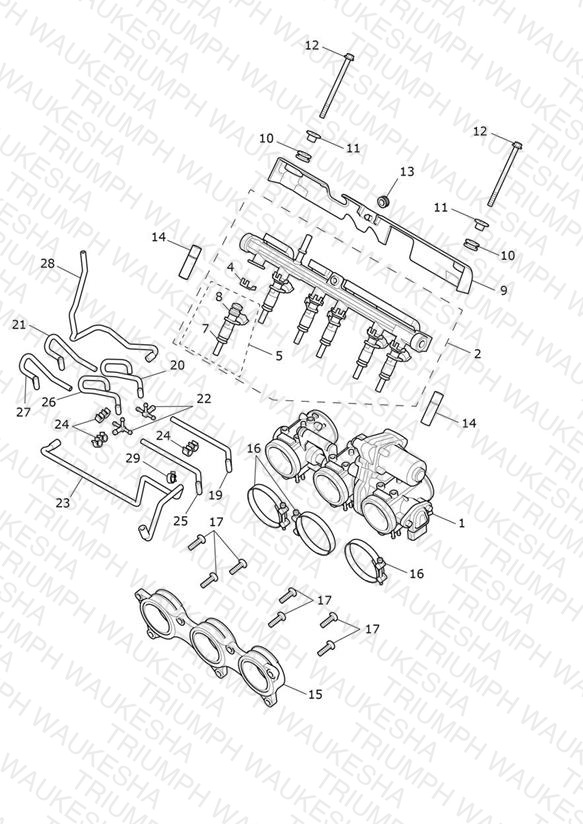 Throttles, Injectors & Fuel Rail