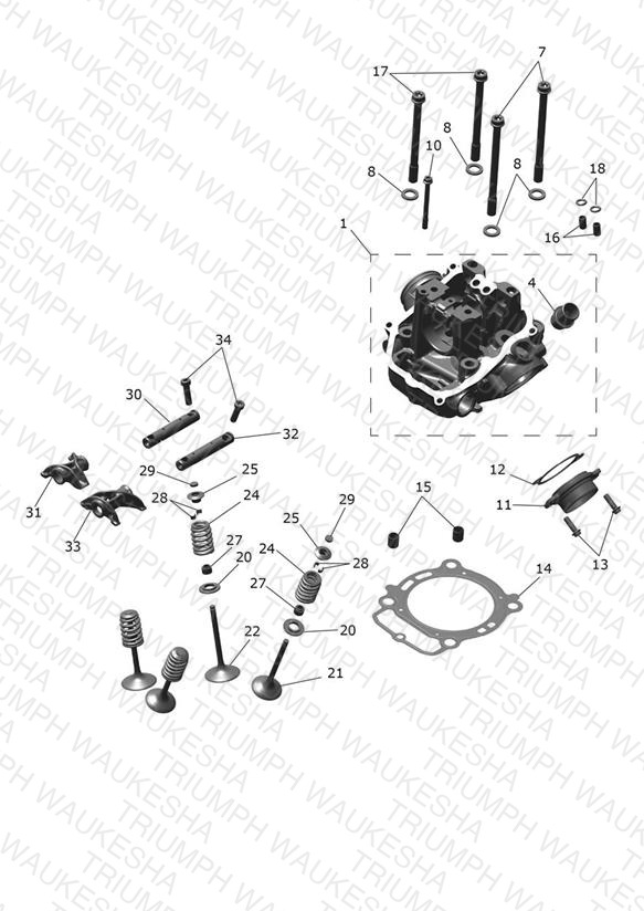 Cylinder Head & Valves