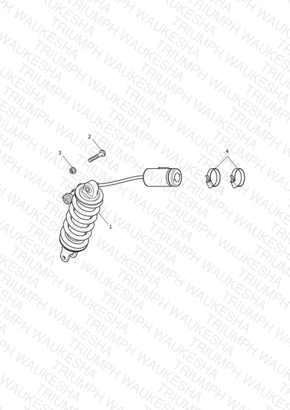 Rear Suspension Unit - Low Ride Height Only