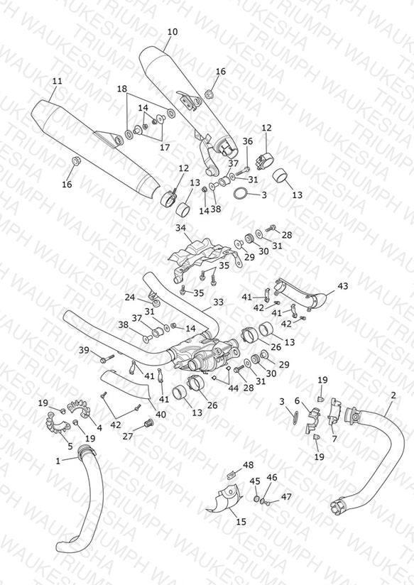 Exhaust System