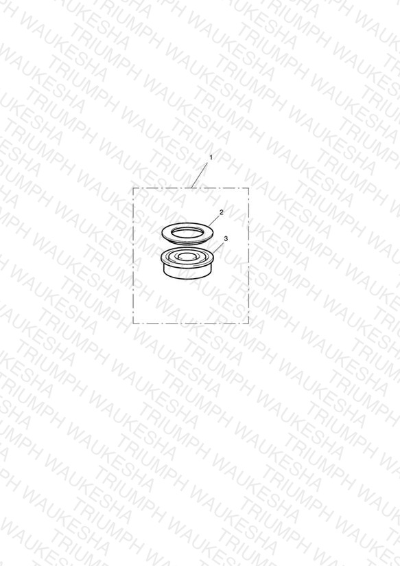 Front Brake Reservoir, Type 2