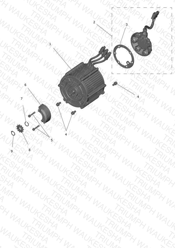 Motor