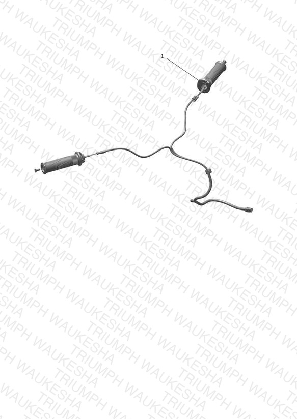 Heated Grip Kit