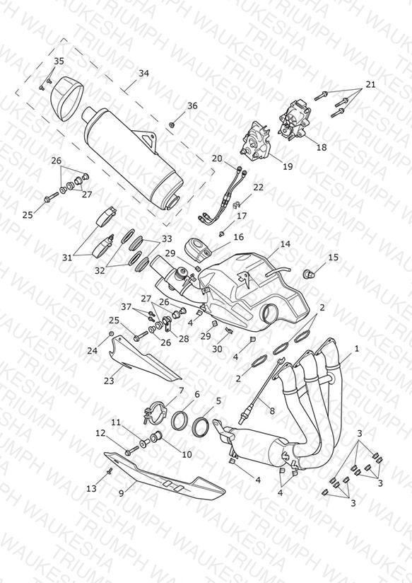 Exhaust System