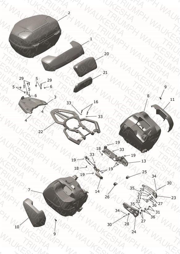 Luggage & Grab Handles
