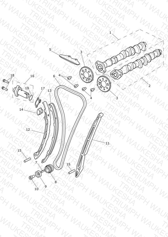 Camshaft & Camshaft Drive