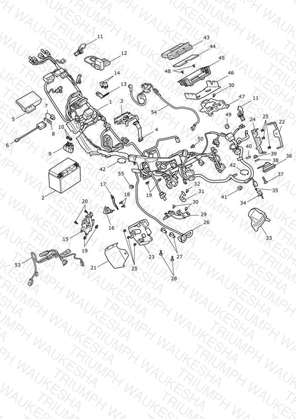 Electrical Section