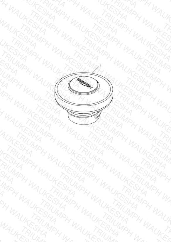 Filler Cap, Fuel, Locking