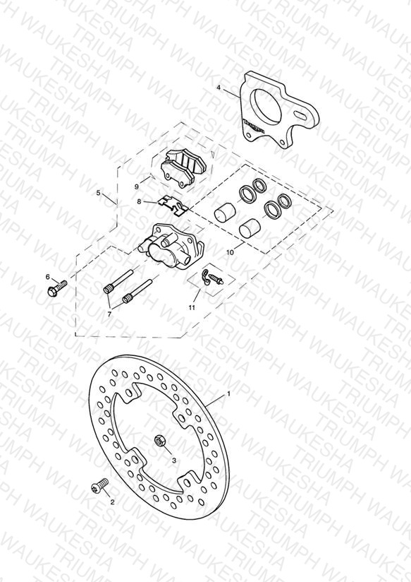 Rear Brake & Disc