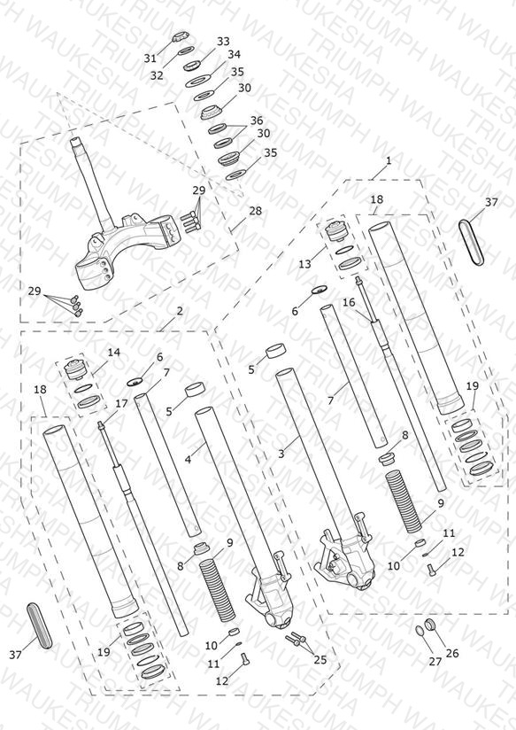Front Forks & Lower Yoke
