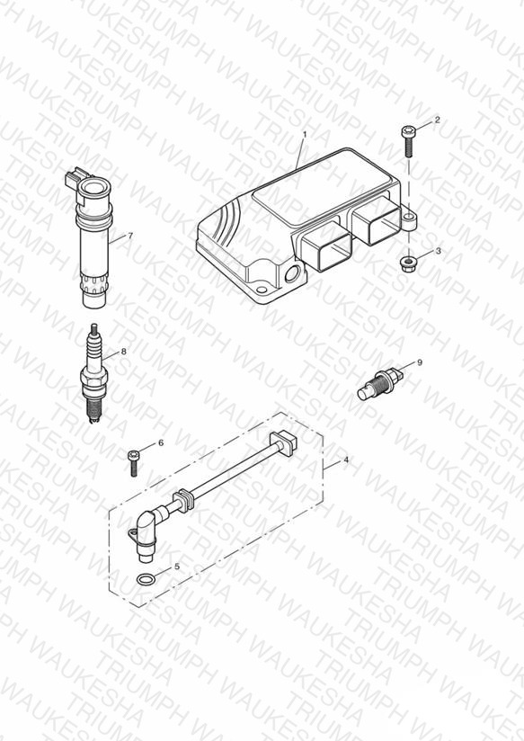 Engine Management System