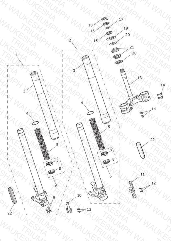 Front Forks & Lower Yoke