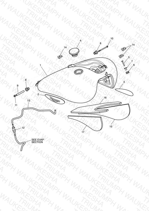 Fuel Tank & Fittings