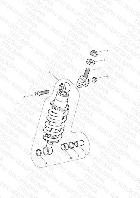 Rear Suspension Unit