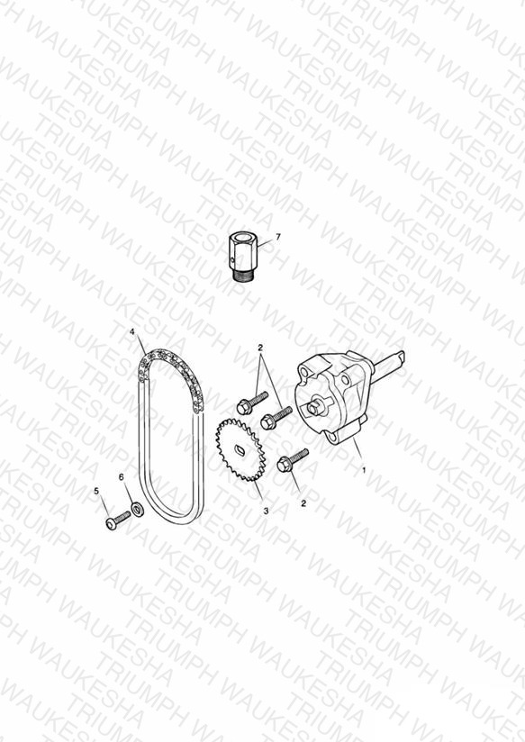 Oil Pump/Drive